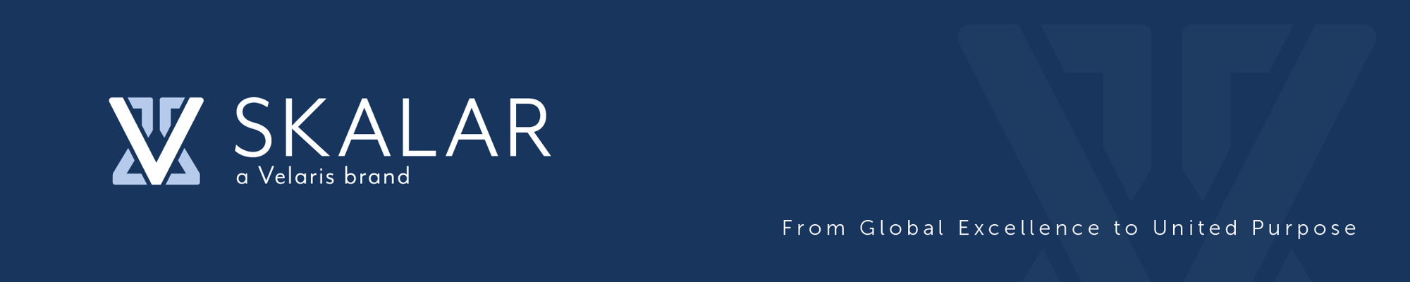 Skalar_web_banner