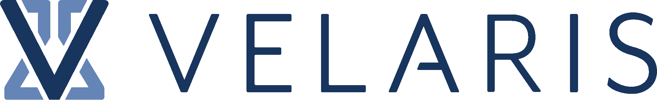 Velaris_logo_horizontal-no_border