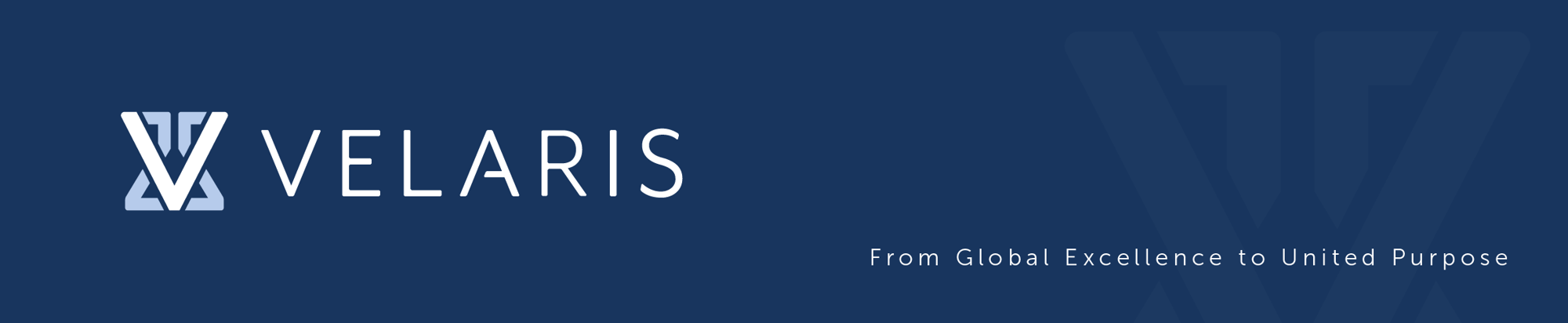 Velaris_web_banner-02
