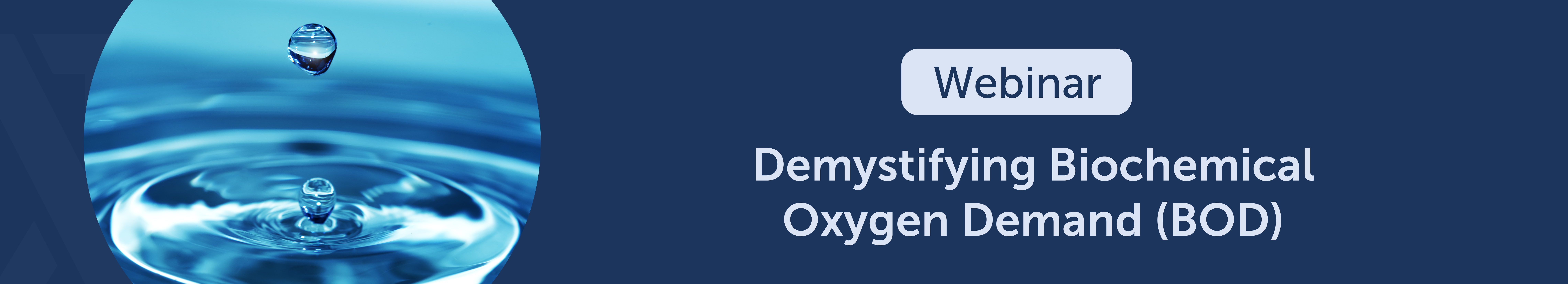 banner-Bod-webinar